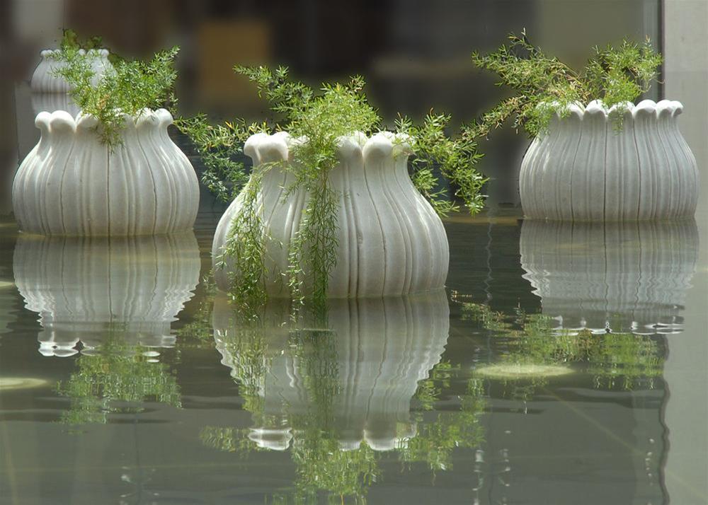 Jaipur Marriott Hotel Exteriér fotografie The watercress is a common plant used in the method.
